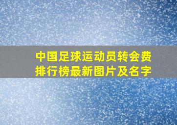 中国足球运动员转会费排行榜最新图片及名字