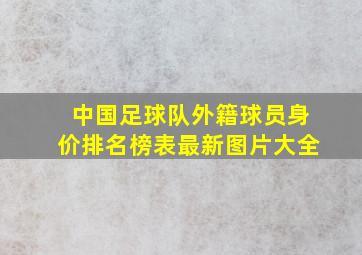 中国足球队外籍球员身价排名榜表最新图片大全