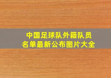 中国足球队外籍队员名单最新公布图片大全