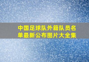 中国足球队外籍队员名单最新公布图片大全集