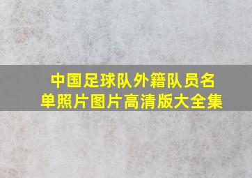 中国足球队外籍队员名单照片图片高清版大全集