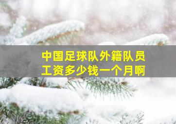 中国足球队外籍队员工资多少钱一个月啊