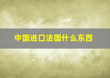 中国进口法国什么东西