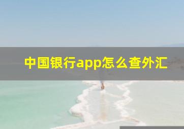 中国银行app怎么查外汇