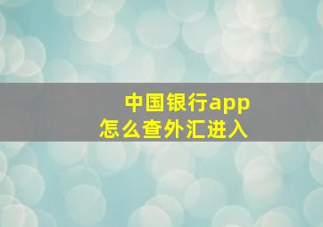 中国银行app怎么查外汇进入