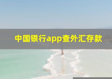 中国银行app查外汇存款