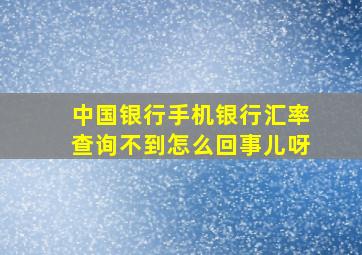 中国银行手机银行汇率查询不到怎么回事儿呀