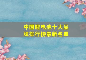 中国锂电池十大品牌排行榜最新名单