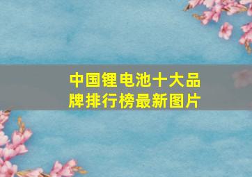 中国锂电池十大品牌排行榜最新图片