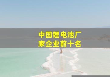 中国锂电池厂家企业前十名