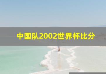 中国队2002世界杯比分