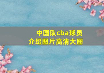 中国队cba球员介绍图片高清大图