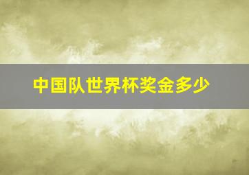 中国队世界杯奖金多少