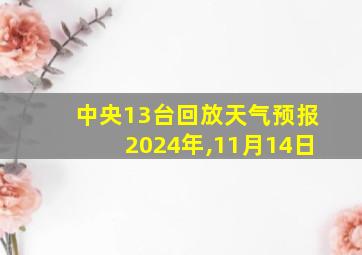 中央13台回放天气预报2024年,11月14日