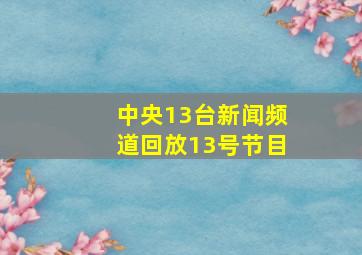 中央13台新闻频道回放13号节目