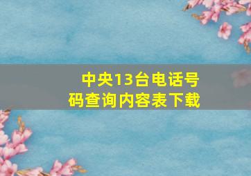 中央13台电话号码查询内容表下载