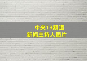 中央13频道新闻主持人图片