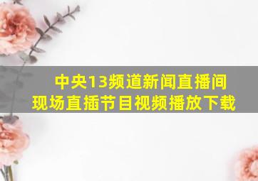 中央13频道新闻直播间现场直插节目视频播放下载