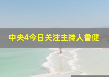 中央4今日关注主持人鲁健