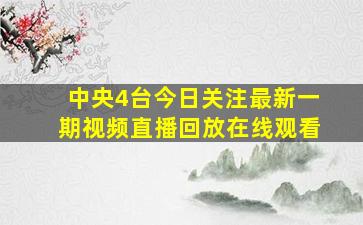 中央4台今日关注最新一期视频直播回放在线观看