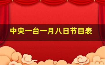 中央一台一月八日节目表