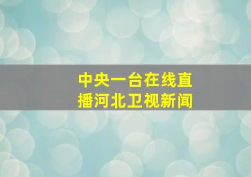 中央一台在线直播河北卫视新闻