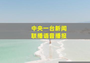 中央一台新闻联播语音播报