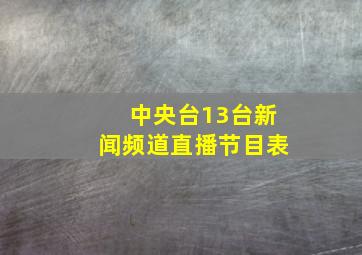 中央台13台新闻频道直播节目表