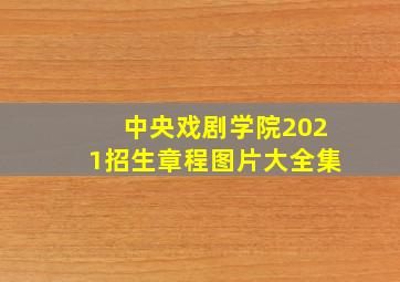 中央戏剧学院2021招生章程图片大全集