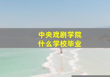 中央戏剧学院什么学校毕业