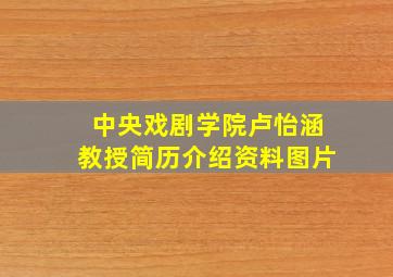 中央戏剧学院卢怡涵教授简历介绍资料图片