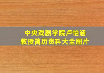 中央戏剧学院卢怡涵教授简历资料大全图片