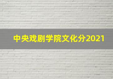 中央戏剧学院文化分2021