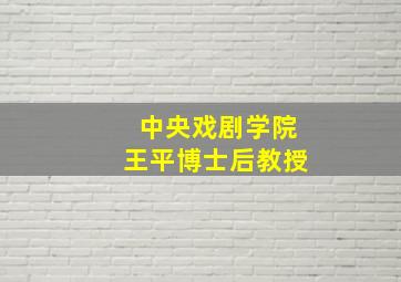 中央戏剧学院王平博士后教授