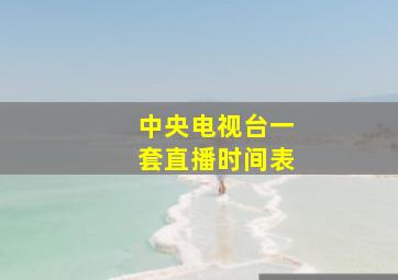 中央电视台一套直播时间表