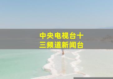 中央电视台十三频道新闻台