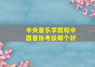 中央音乐学院和中国音协考级哪个好