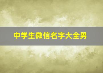 中学生微信名字大全男