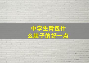 中学生背包什么牌子的好一点