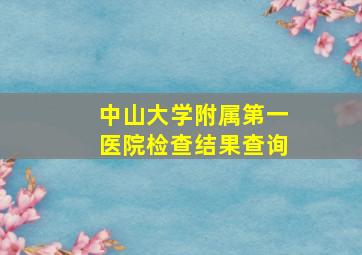 中山大学附属第一医院检查结果查询