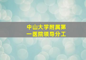 中山大学附属第一医院领导分工