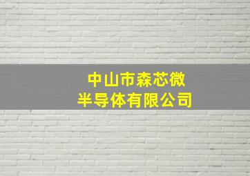 中山市森芯微半导体有限公司