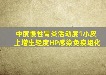 中度慢性胃炎活动度1小皮上增生轻度HP感染免疫组化