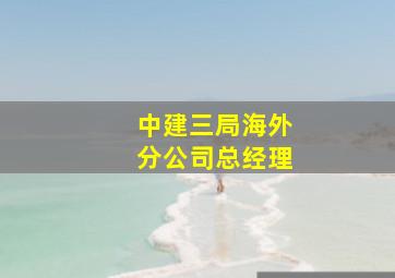 中建三局海外分公司总经理