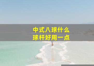 中式八球什么球杆好用一点