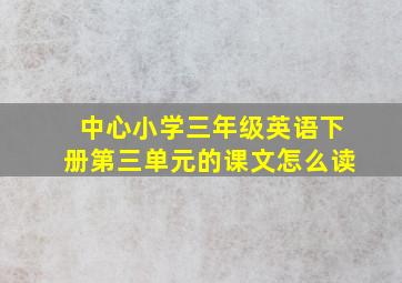 中心小学三年级英语下册第三单元的课文怎么读