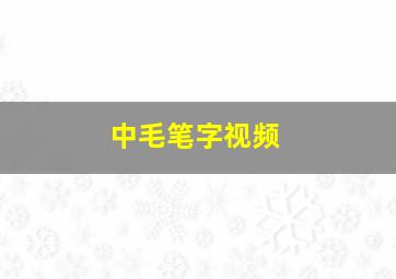 中毛笔字视频