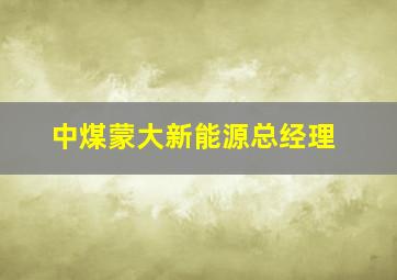 中煤蒙大新能源总经理