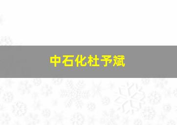 中石化杜予斌