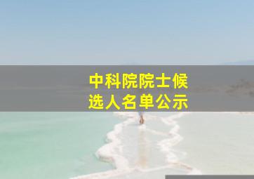 中科院院士候选人名单公示